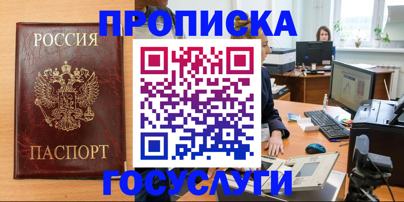 где прописаться в Сертолово